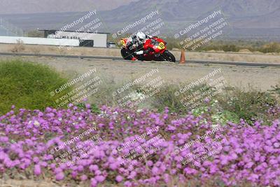 media/Feb-04-2023-SoCal Trackdays (Sat) [[8a776bf2c3]]/Turn 15 Inside Blooming (1050am)/